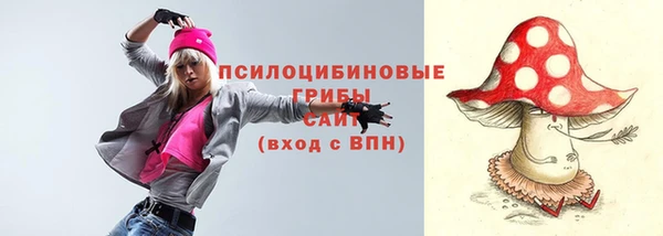 дурь Балахна