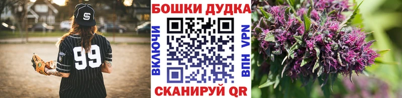 Купить где  Гусиноозёрск  Конопля сатива 